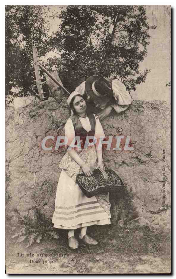 CPA LA Vie aux Champs Doux Propos Folklore Costume