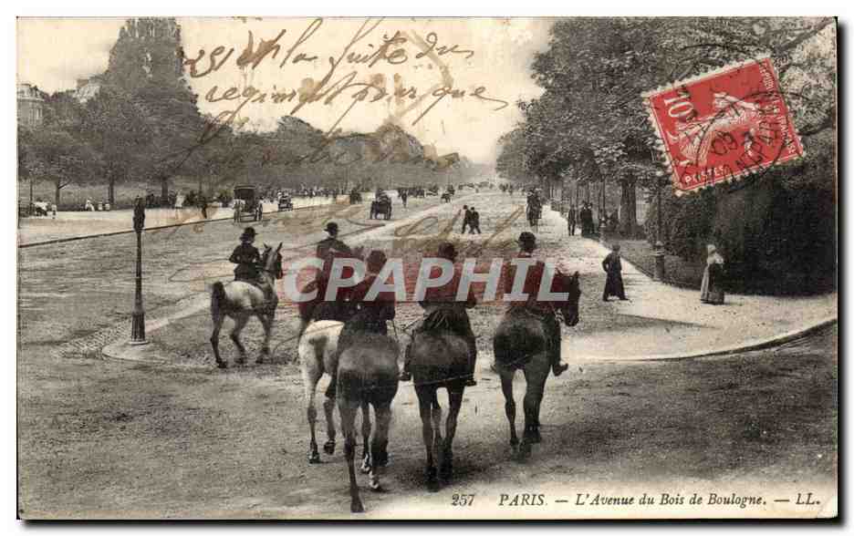 CPA Paris L Avenue de Bois de Boulogne Cheval Horse 