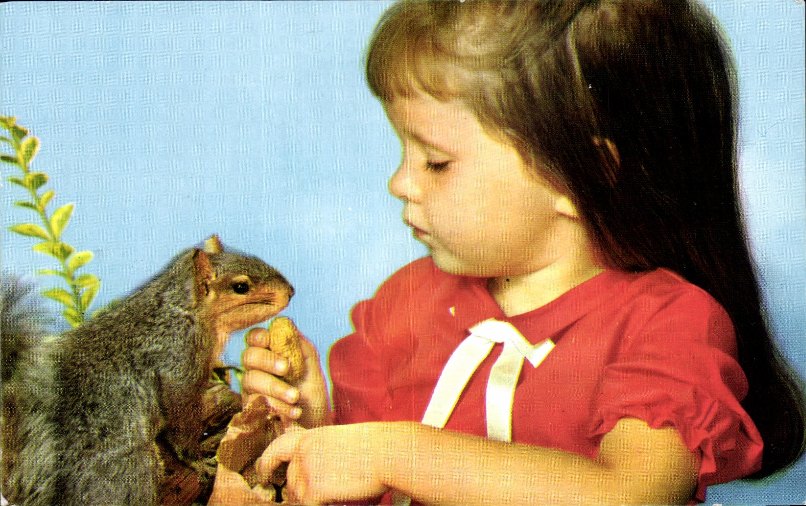 Mädchen und Eichhörnchen — Photo Camer-Cla — Kampagne « Kinderretten »