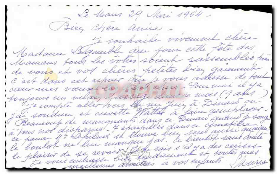 CPA Fantaisie Fleurs Bonne Fete Maman Elephant — Verso