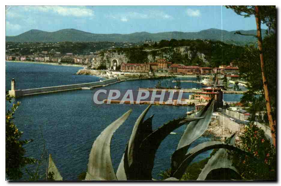 Le port — Côte d'Azur — Nice — Éditions S.E.P.T. - 35 Boulevard Gorbella