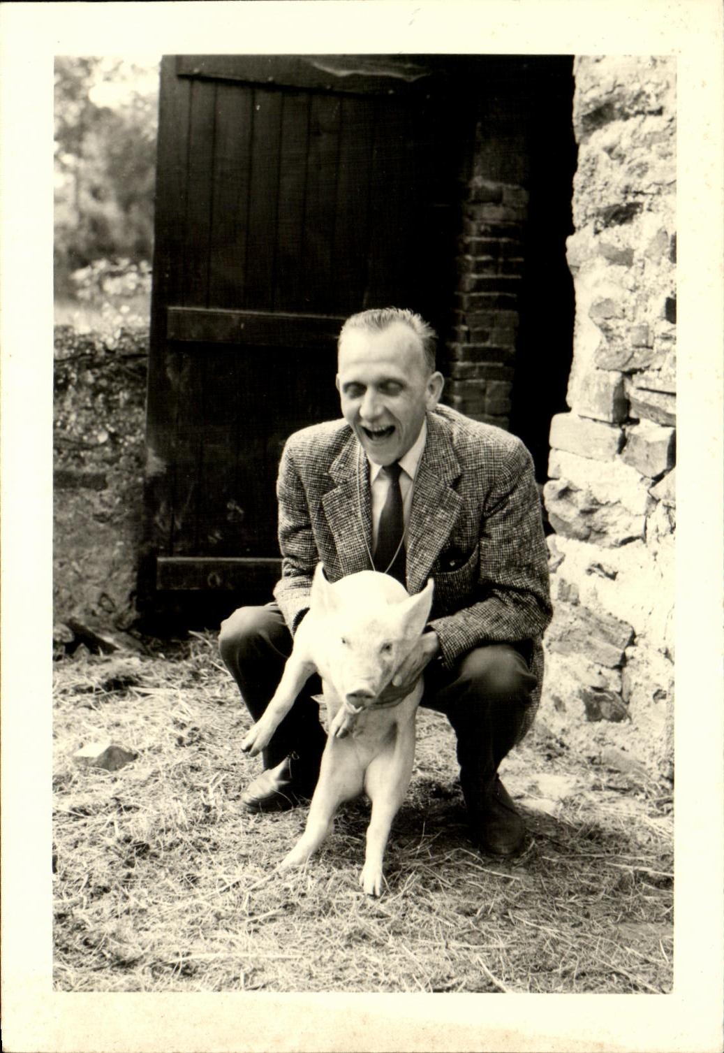 Photo Homme et cochon Pig