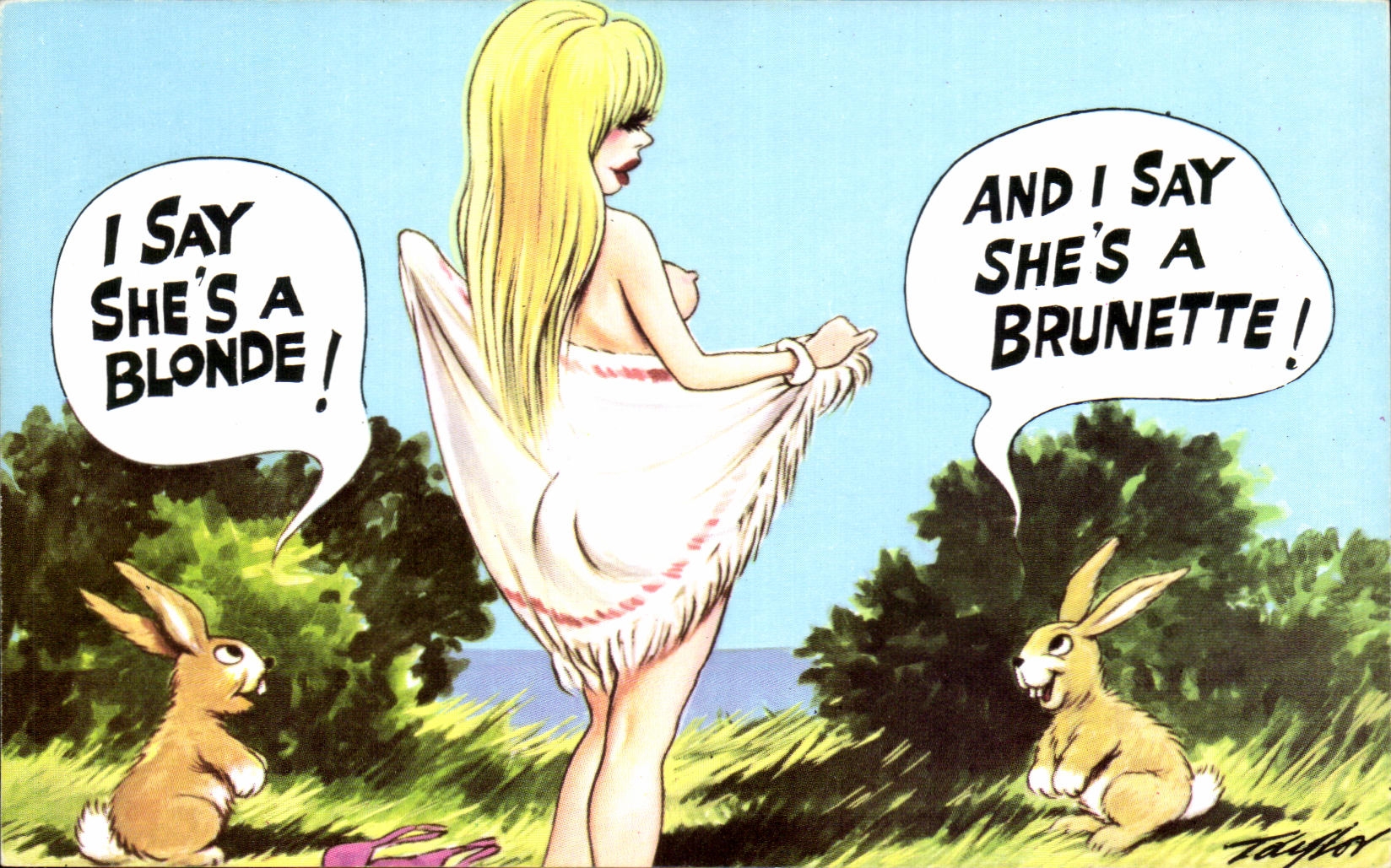 CPA I Say She s A Blonde And I Say She s A Brunette Lapin Rabbit Humour