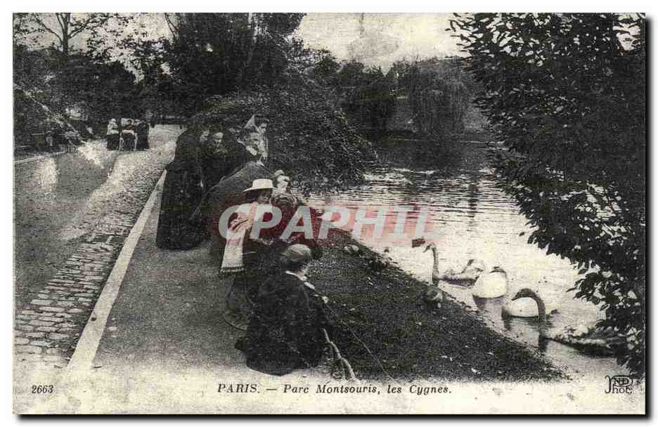 PARIS — Parc Montsouris, les Cygnes — CPAPHIL