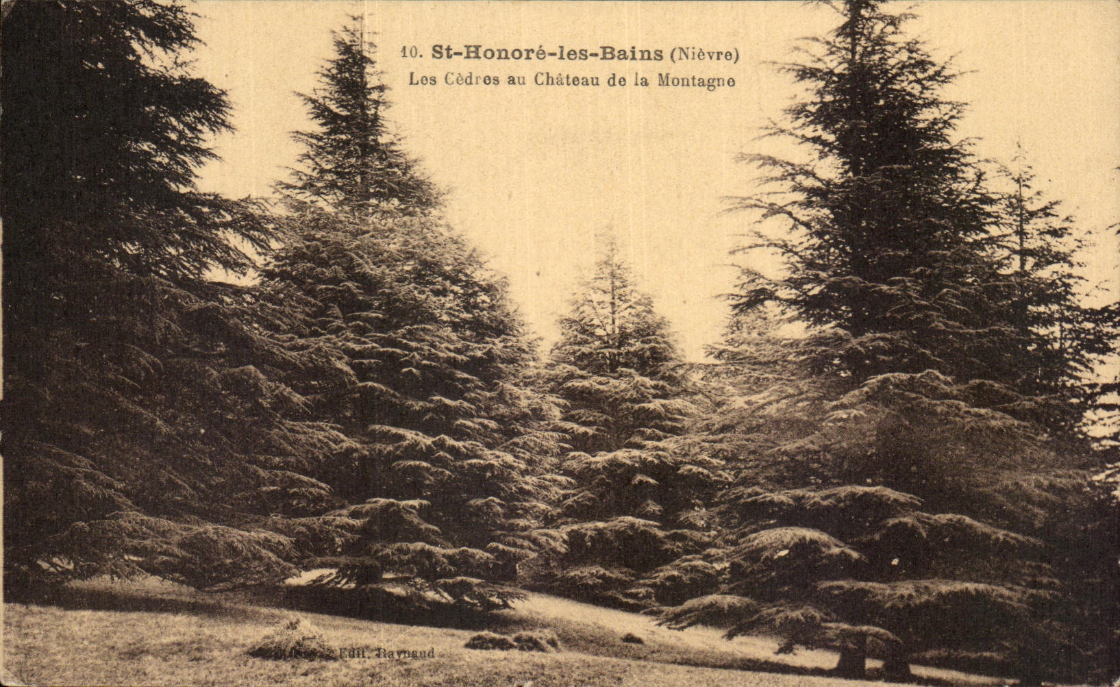 St-Honoré-les-Bains (Nièvre) — Les Cèdres au Château de la Montagne — Édit. Baymand