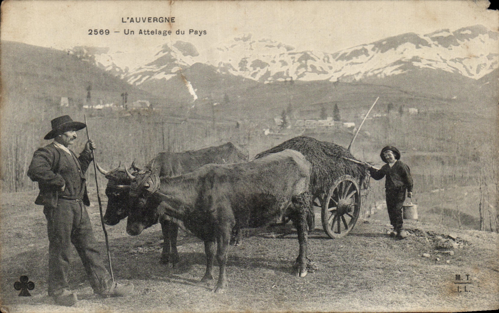 CPA L Auvergne Un Attelage du Pays Boeufs TOP