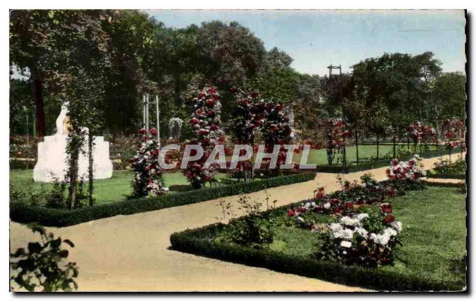 CPM Paris Bagatelle La Roseraie