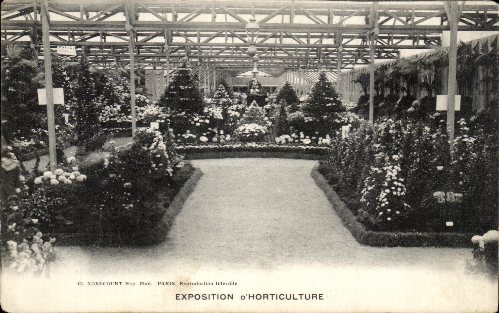 CPA Exposition D Horticulture Paris