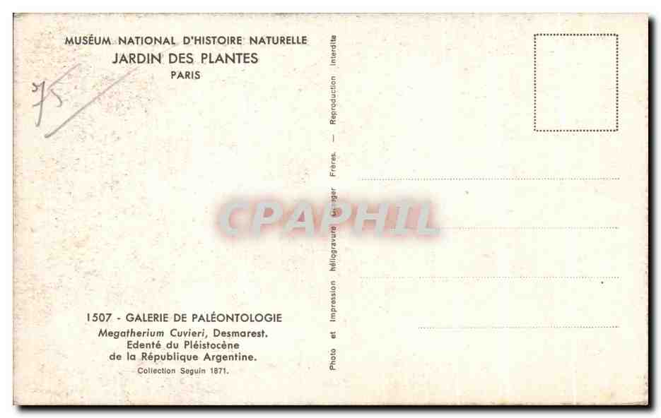CPA Museum National D histoire Naturelle Jardin Des Plantes Paris Megatherium Cuvieri  — Verso