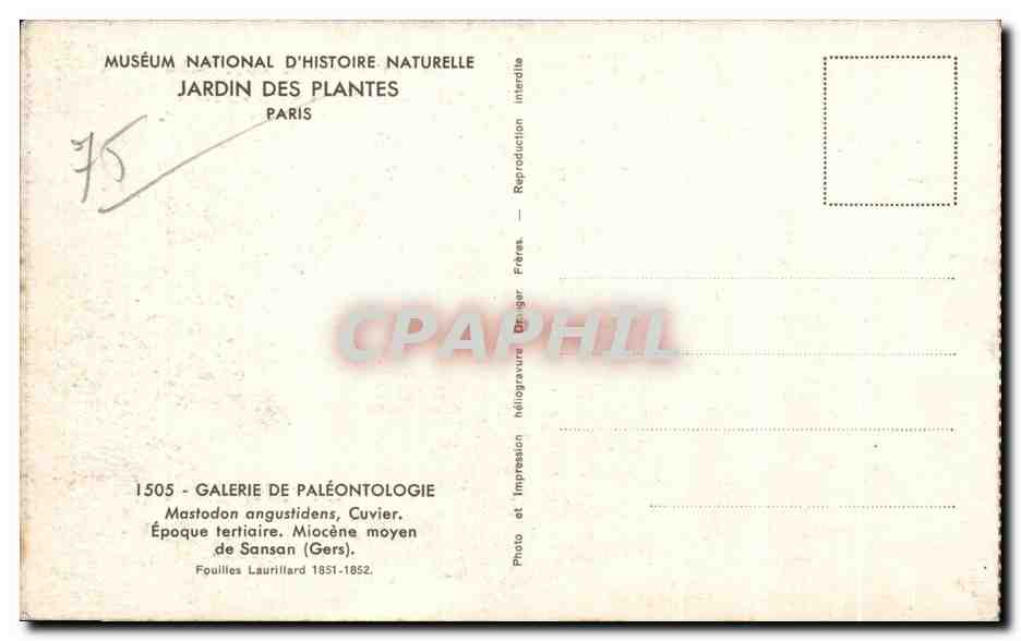 CPA Museum National D histoire Naturelle Jardin Des Plantes Paris Mastodon angustidens  — Verso