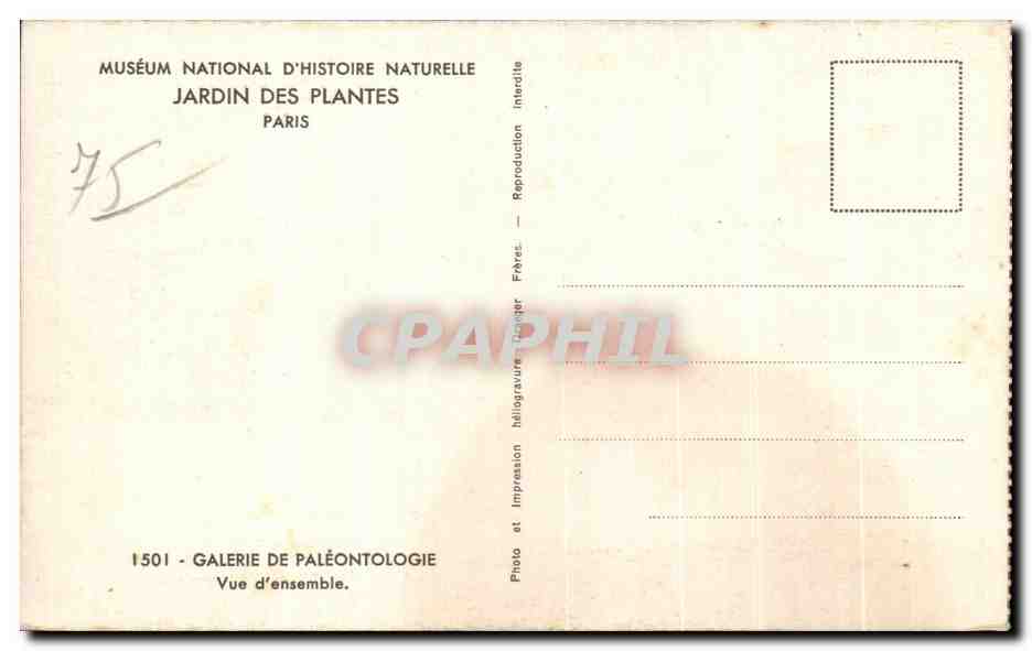 CPA Museum National D Histoire Naturelle Jardin Des Plantes Paris Paleontologie Elephant  — Rückseite