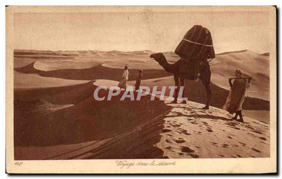 CPA Voyage dans le desert Tunisie Camel Chameau