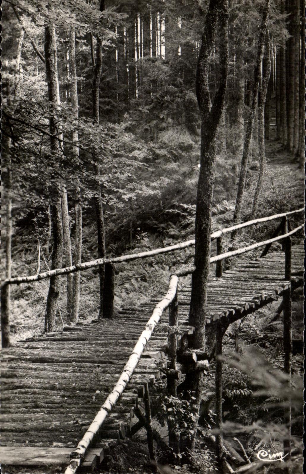Le Haut Folin (alt. 900 m) — Station touristique du Club Alpin — série 7 — éditeur C. Lomier, Mâcon