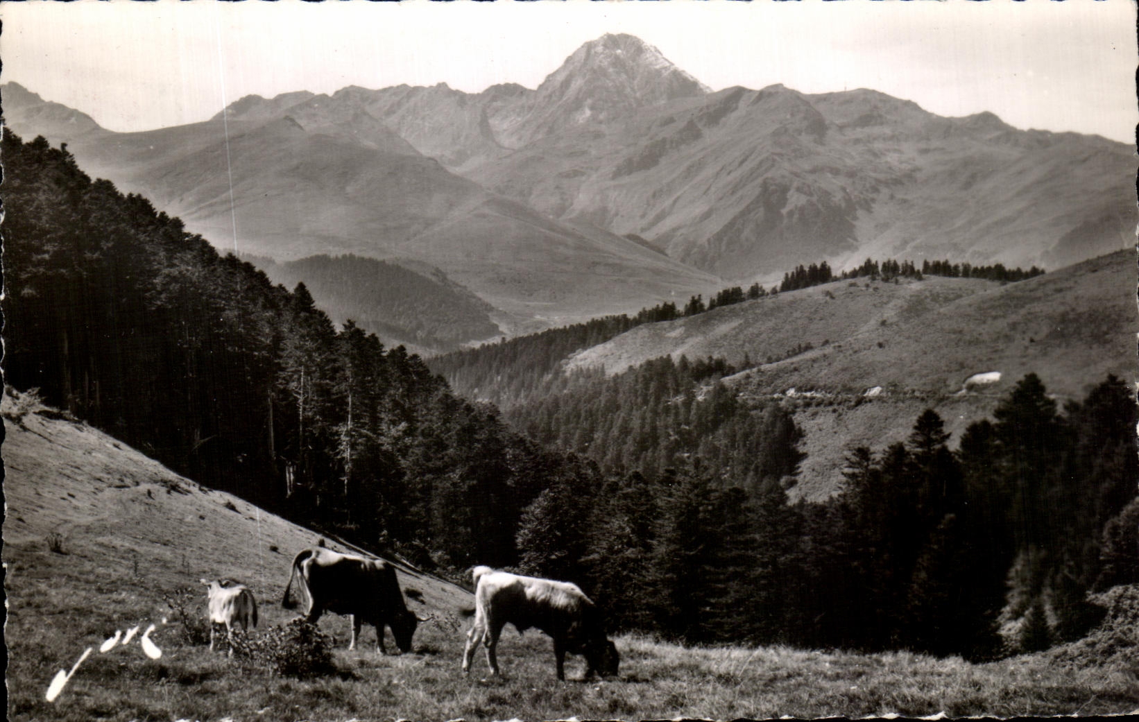 Le Col d'Aspin — Ansicht des Pic du Midi (2.877 m.) — Éditions JOYE, Pau