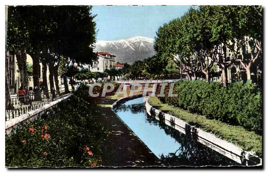 CPSM Perpignan Les Quais Fleuris de la Basse et au fond le Canigou