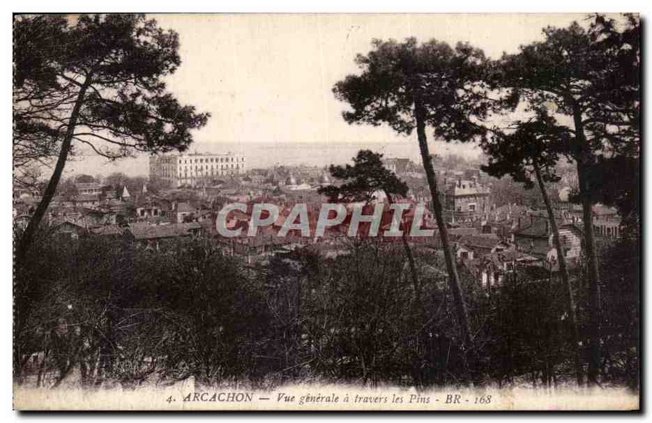 CPA Arcachon Vue generale a travers les Pins