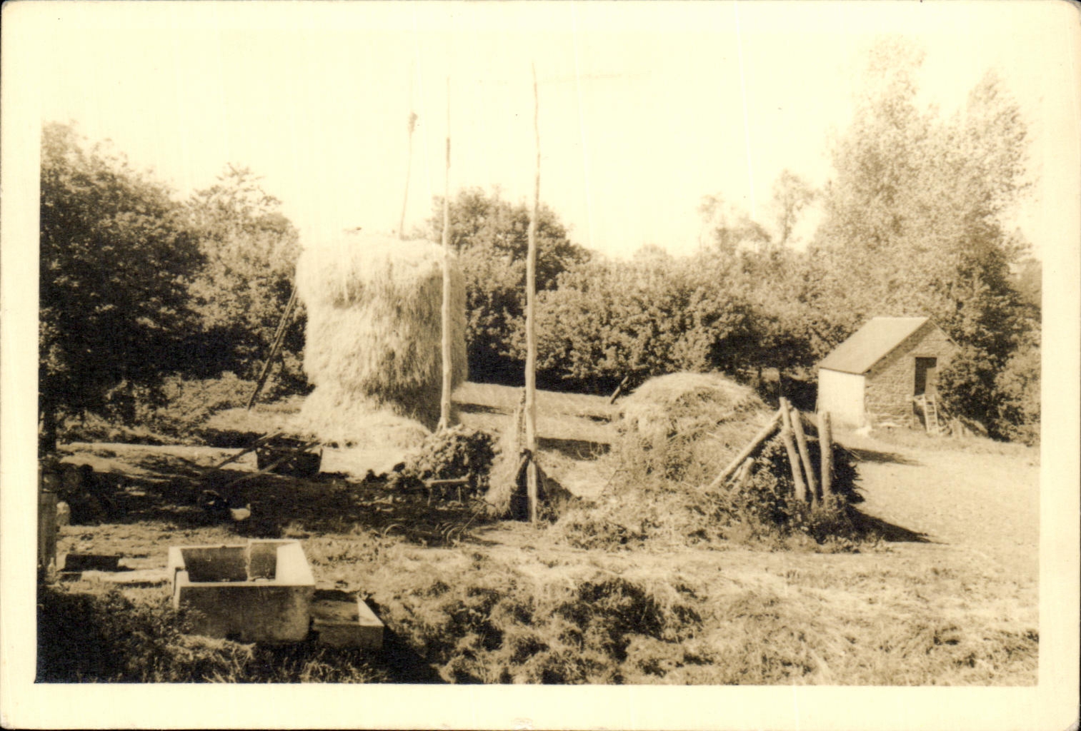 CARTE PHOTO Jardin (non localisee) 