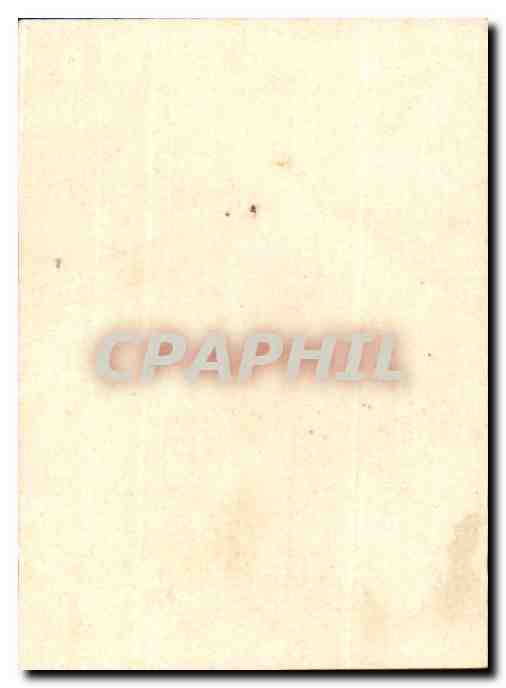 Image Pivoines Fleurs Vivaces Chocolat Peter Caille Hohler Nestle — Verso