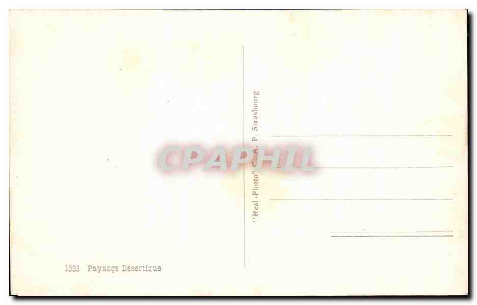 CPA Paysage Desertique Camel Chameau  — Rückseite
