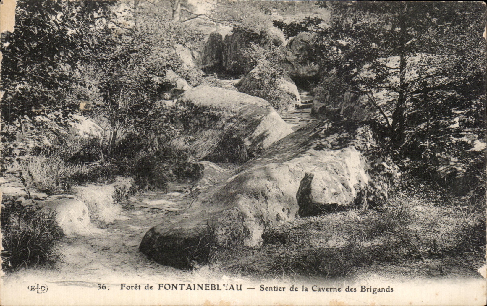 Bosque de FONTAINEBLEAU — Sendero de la Cueva de los Bandidos — Editor ELD, n°36