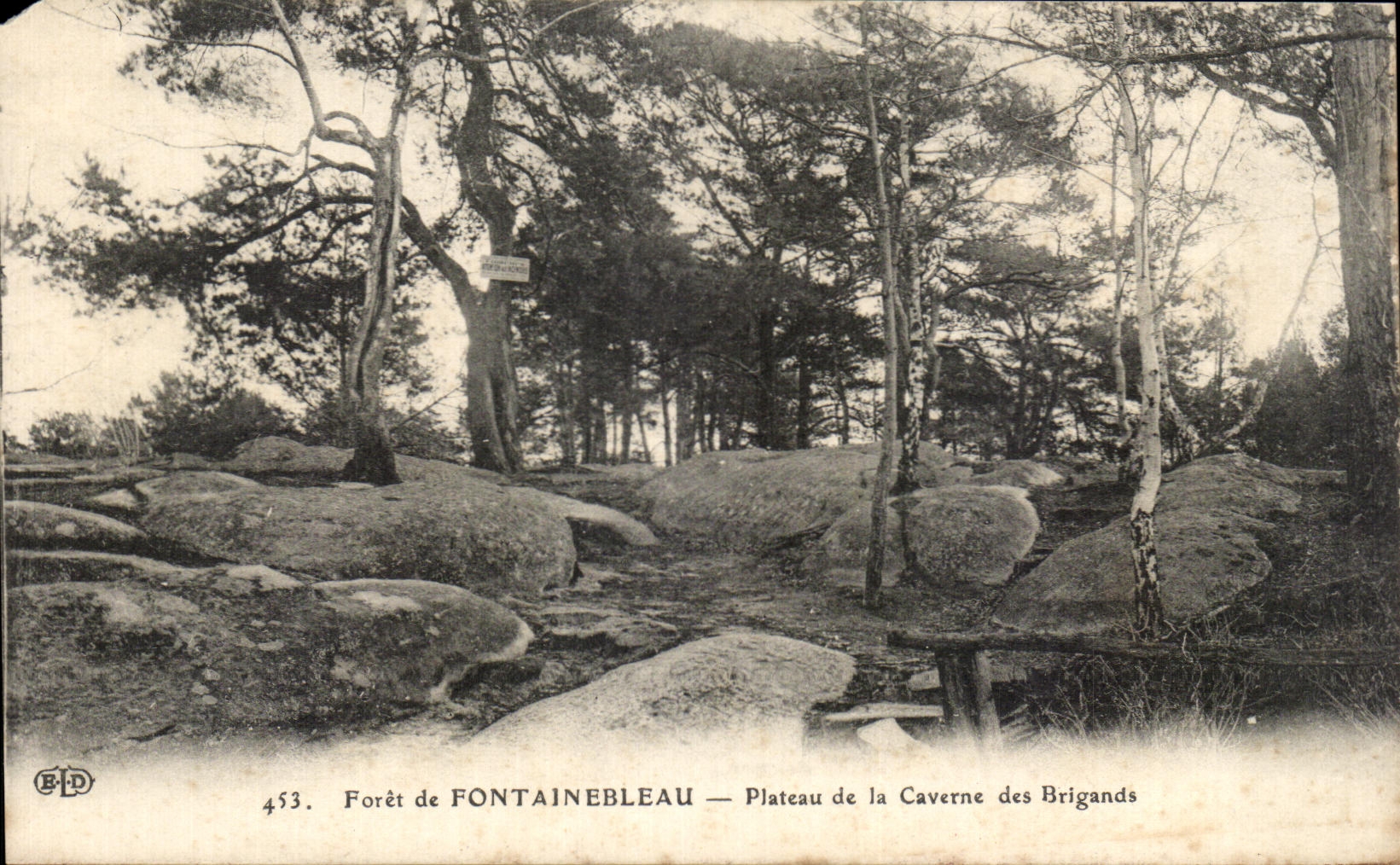 Forêt de FONTAINEBLEAU — Plateau de la Caverne des Brigands — BLD, n°453