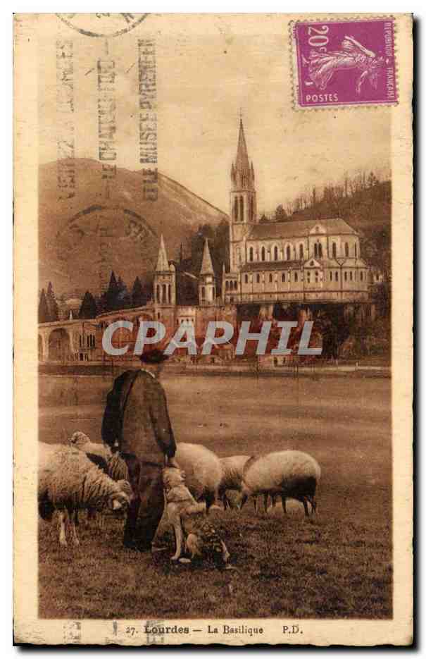 CPA Lourdes La Basilique Berger et moutons 