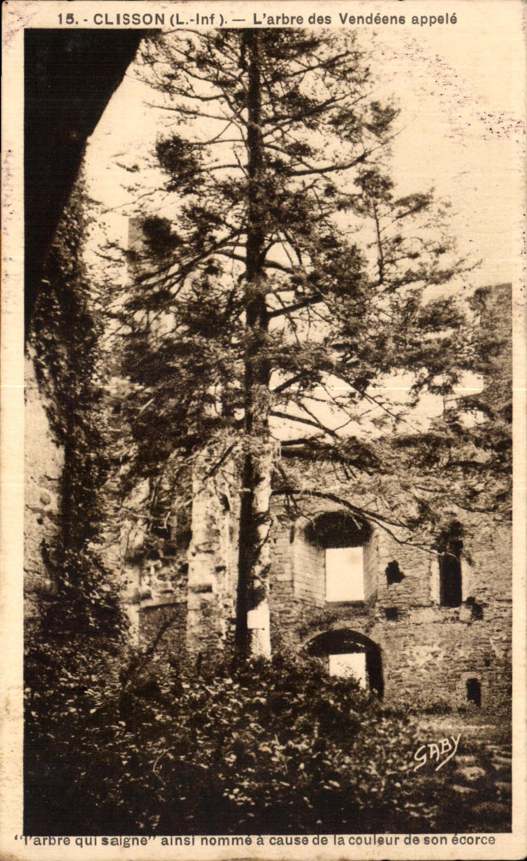 CPA Clisson L Arbre des Vendeens appele l arbre qui saigne