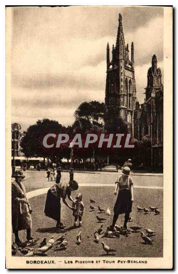 CPA Bordeaux Les Pigeons et Tour Pey Berland