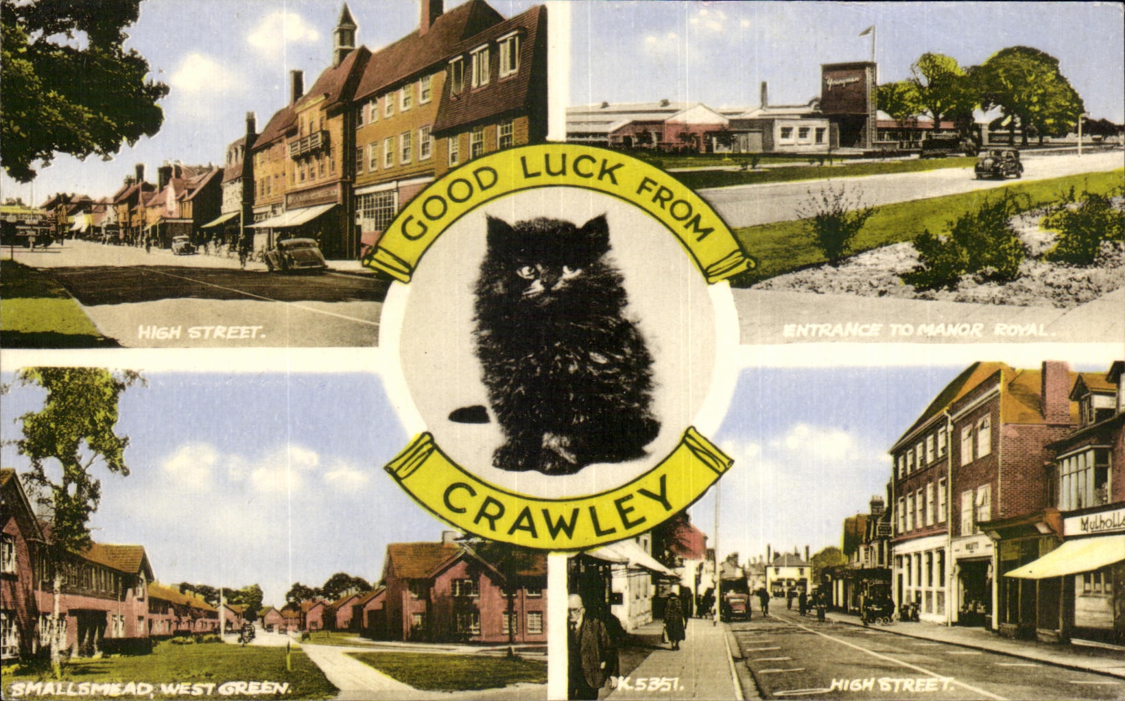 CPA Good Luck from Crawley chat CAt