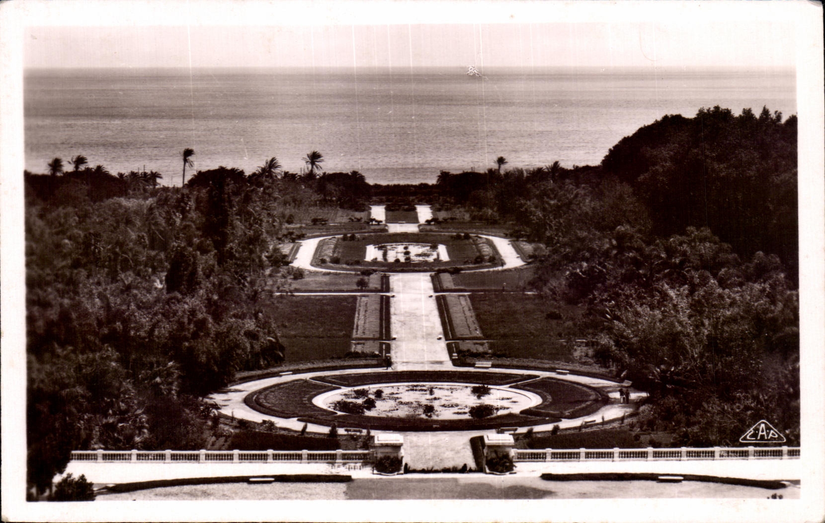 CPA Alger Jardin d Essai Jardin a la francaise