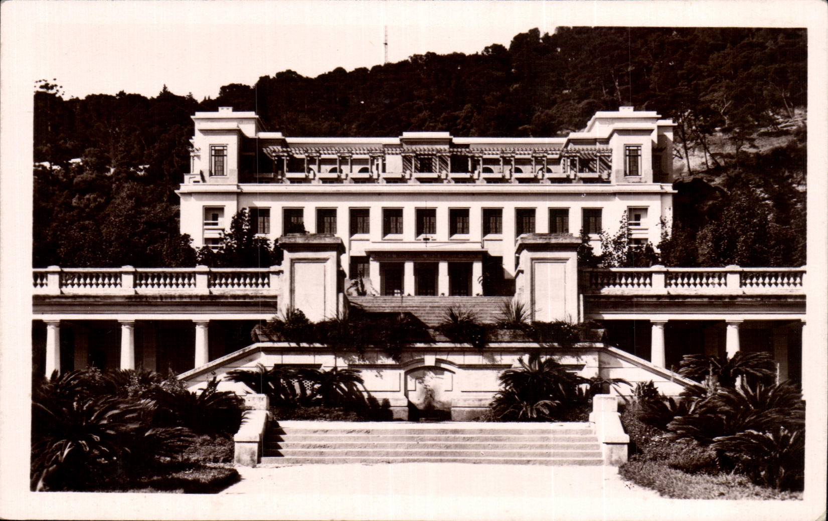 CPA Alger Musee National des Beaux Arts
