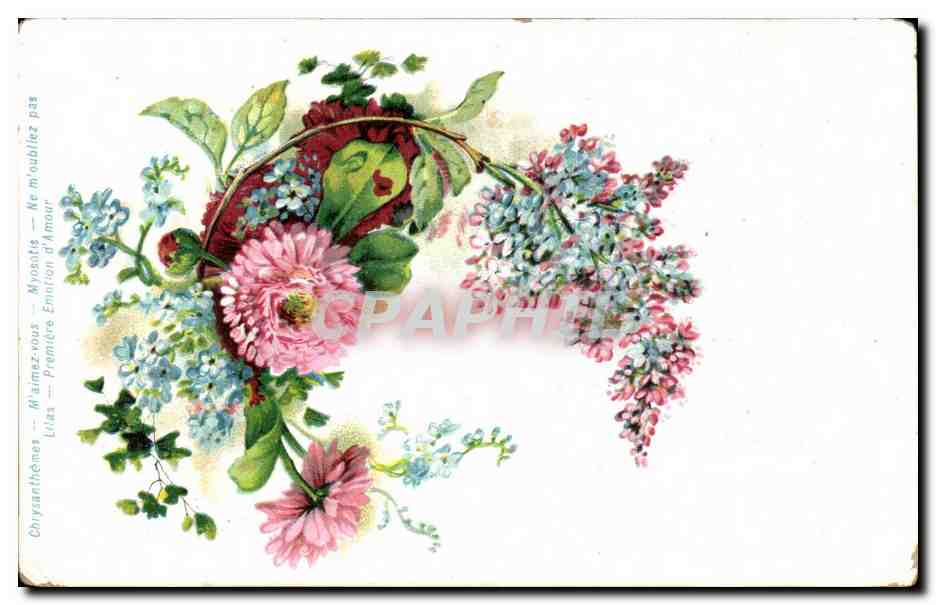 CPA Fantaisie Fleurs Chrysanthemes 