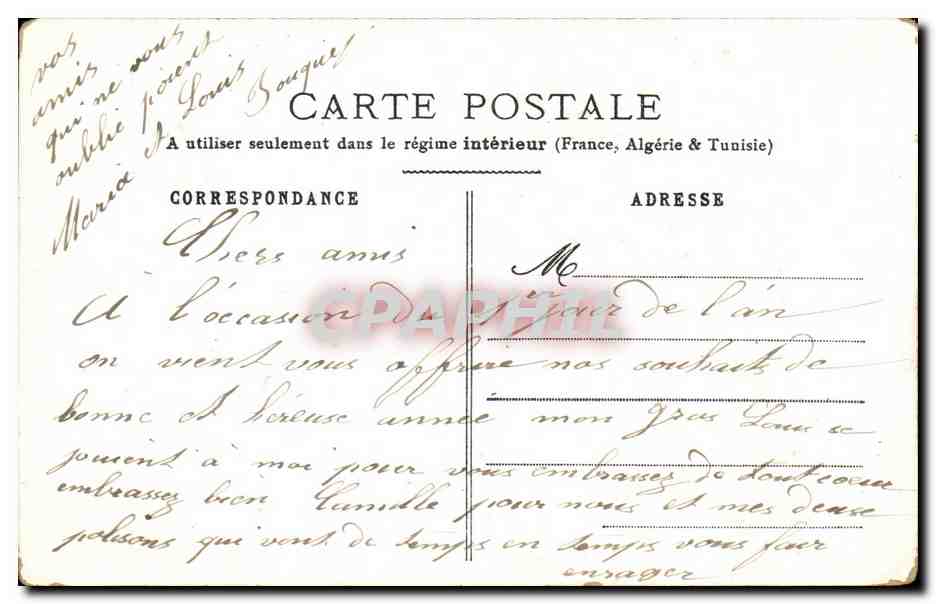 CPA Fantaisie Fleurs Chrysanthemes  — Back