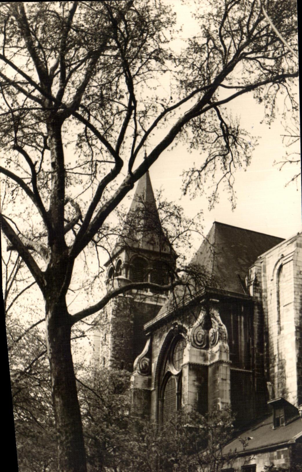 CARTE PHOTO Eglise (non localisee)
