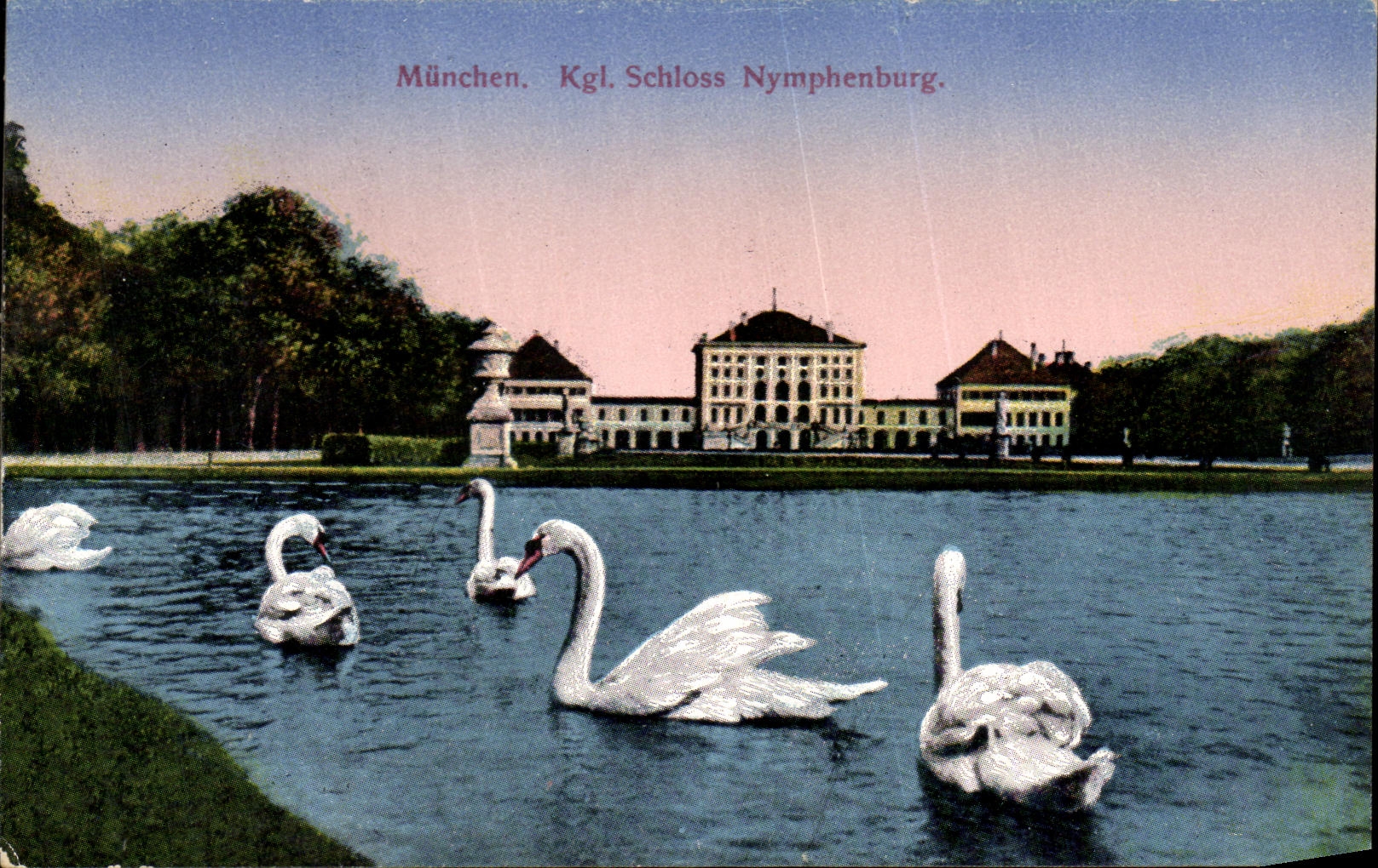 CPA Munchen Kgl Schloss Nymphenburg Cygne Swan