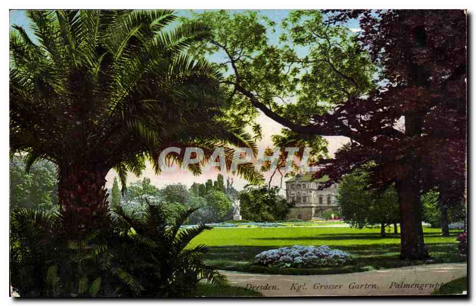 CPA Dresden Kgl Grosser Garten Palmengrup