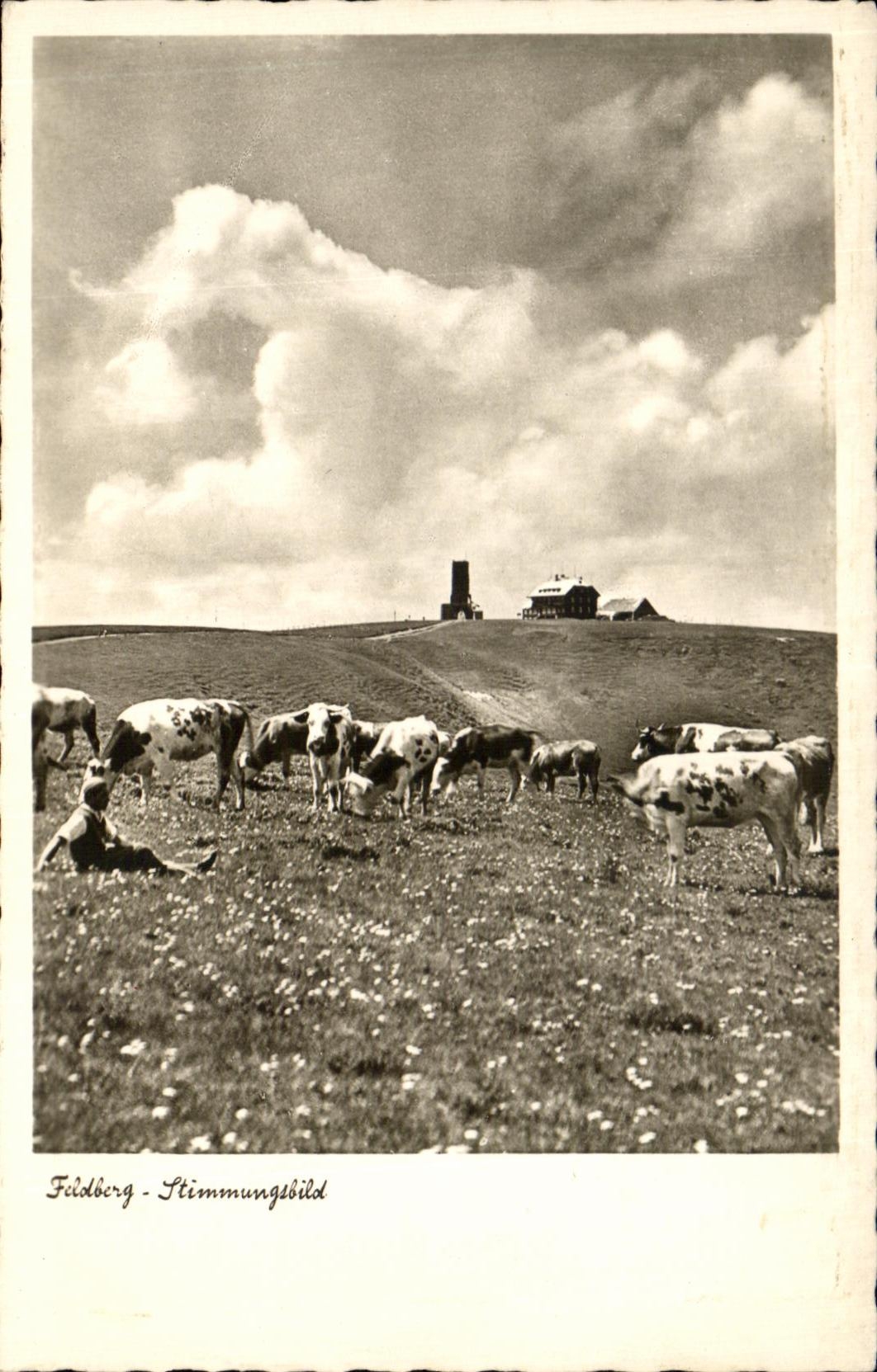 CPA Feldberg