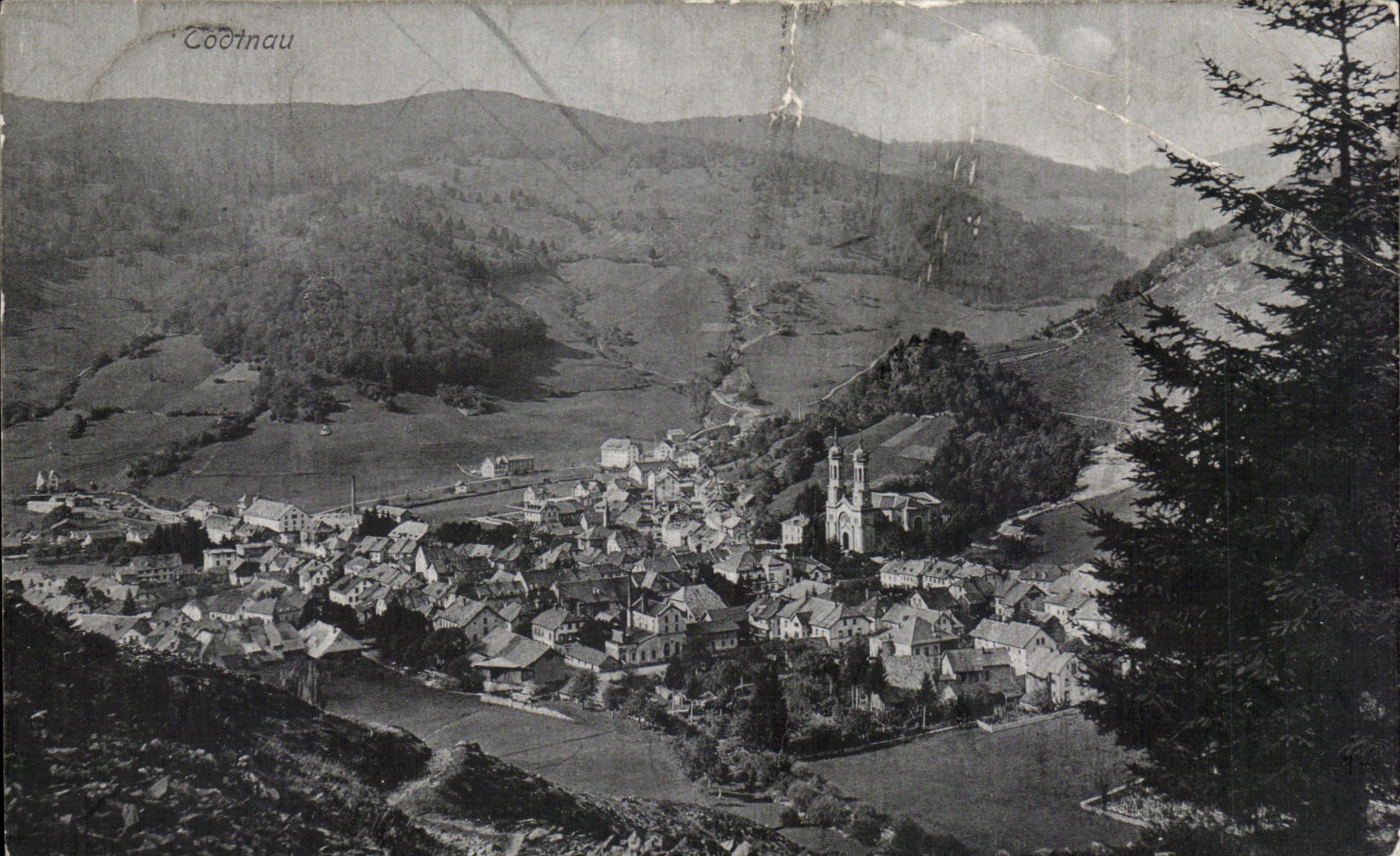 CPA Todnau