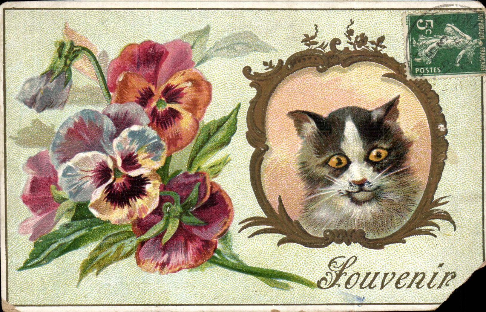 CPA Fantaisie fleurs Souvenir Chat 