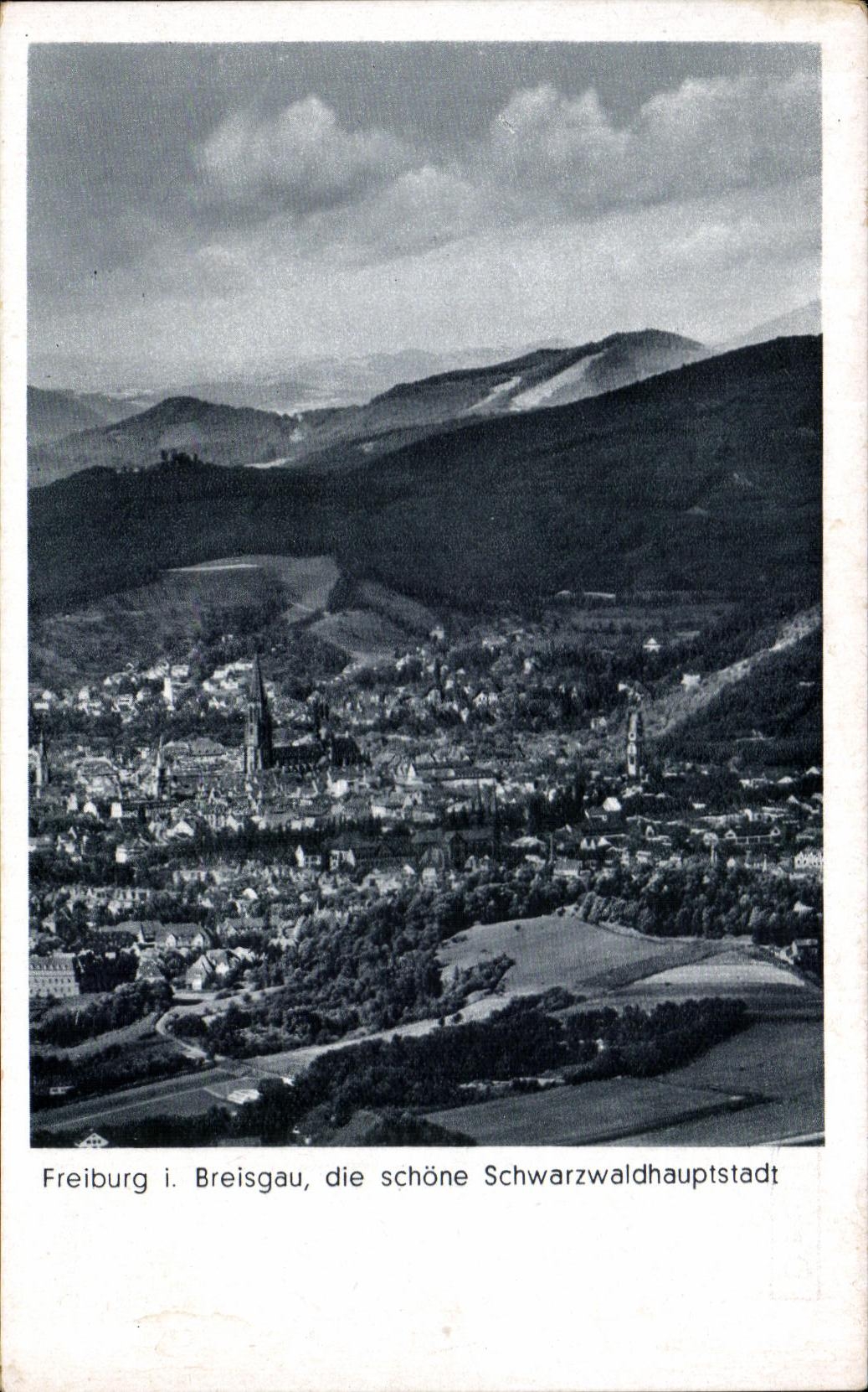CPA Freiburg i Bresgau Die Schone Schwarzwaldhptstadt