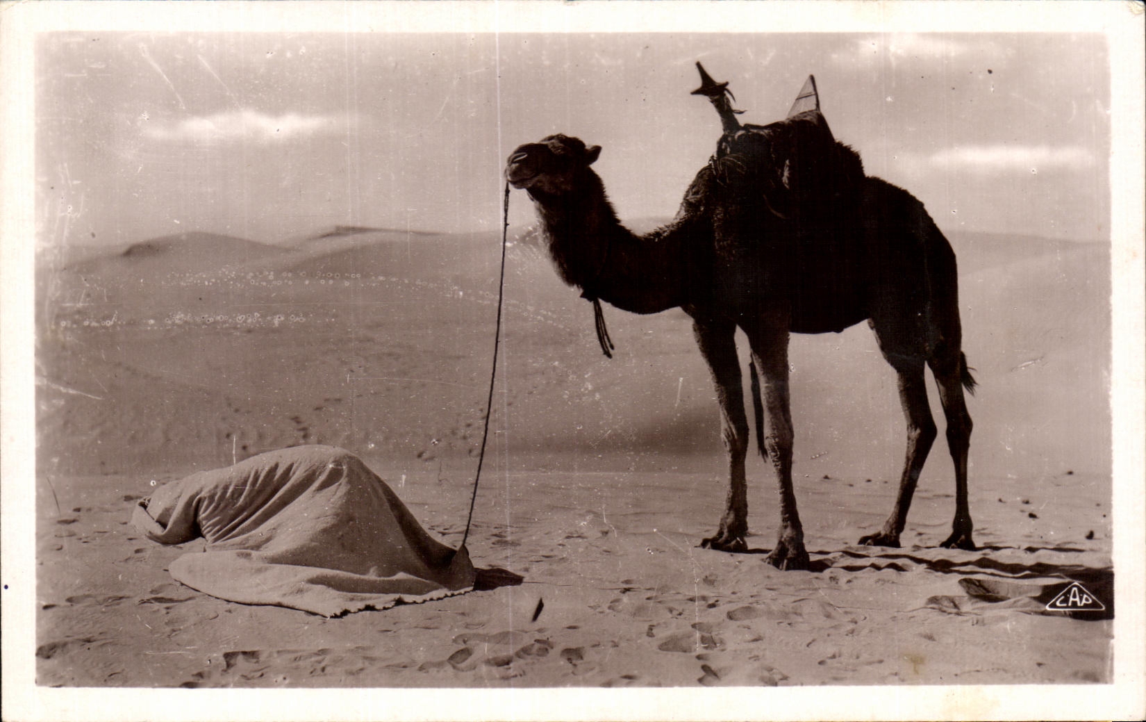 CPA Scenes et Types La Priere au desert Chameau camel 