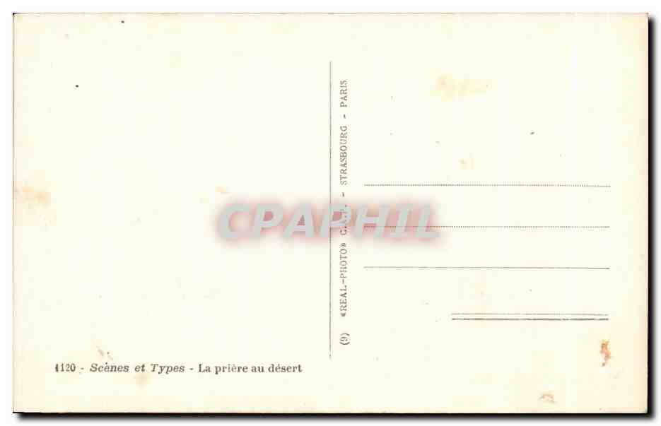 CPA Scenes et Types La Priere au desert Chameau camel  — Rückseite