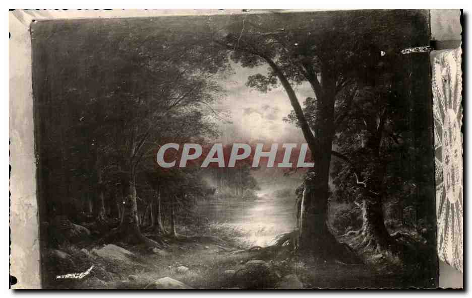 CPSM Paysage de foret