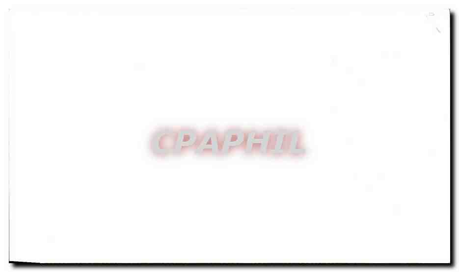 Carton format carte postale Fleurs — Verso