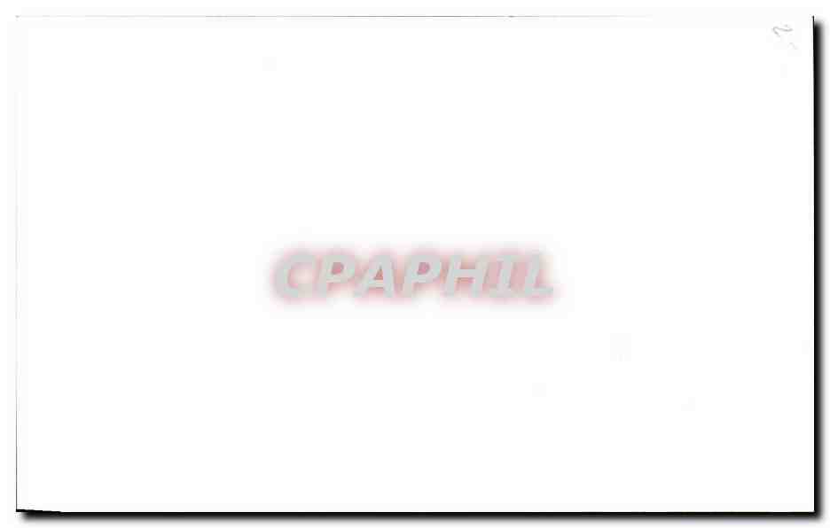 Carton format carte postale Fleurs — Rückseite