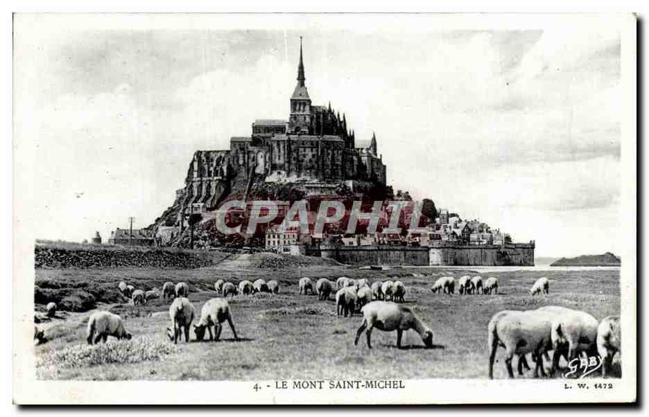 CPA Le Mont Saint Michel Moutons 