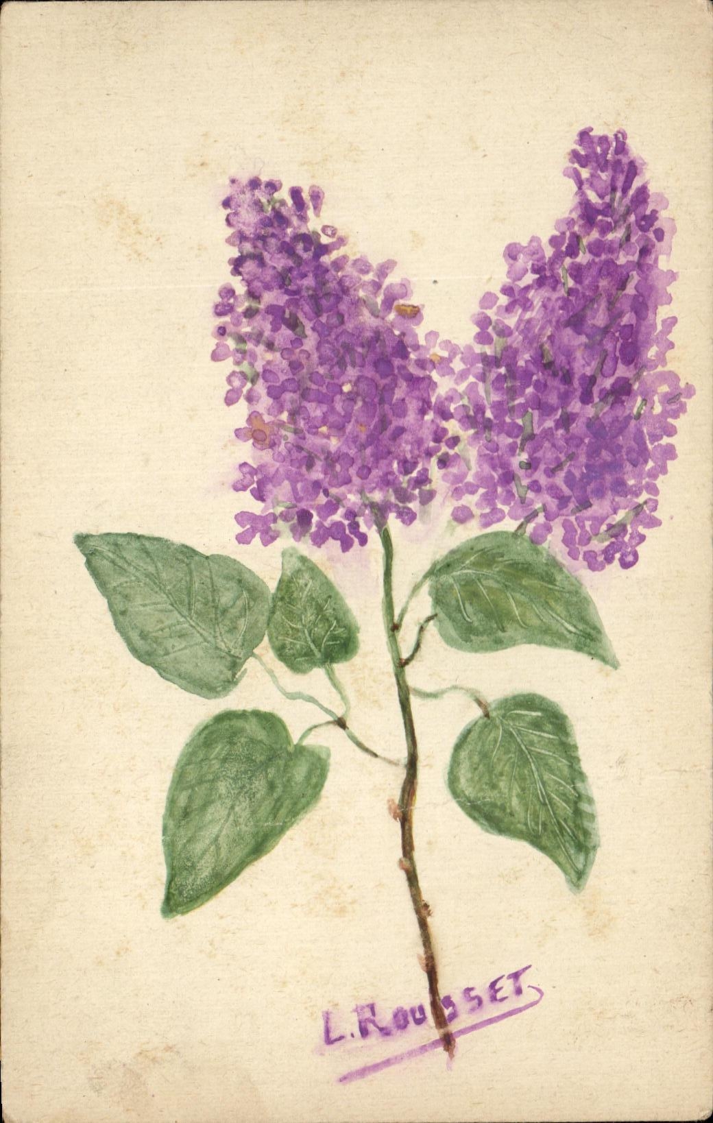 CPA L'Rousset Fleur (dessin a la main)