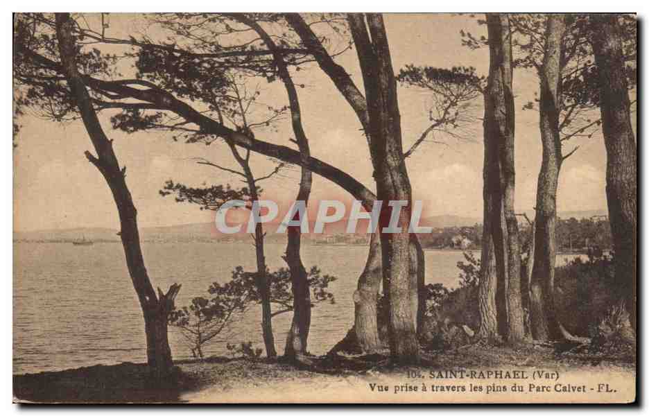 CPA Saint Raphael Vue Prise A Travers Les Pins Du Parc Calvet