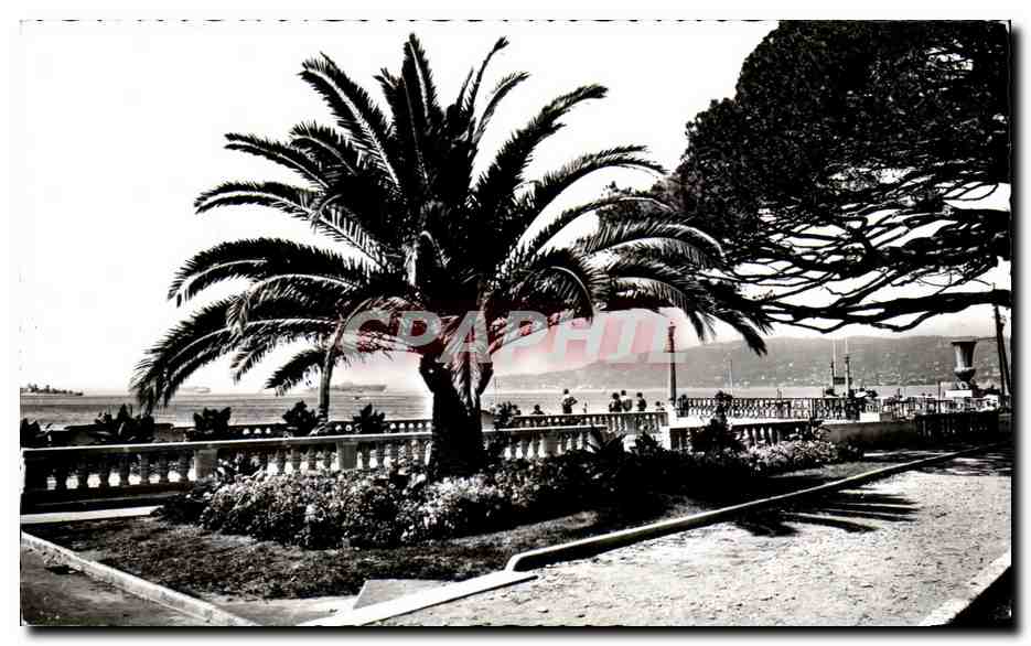 Juan-les-Pins — Un coin des nouveaux Jardins — Éd. AJAX, 4, r. Comte-Félix-Gaspari, Monaco