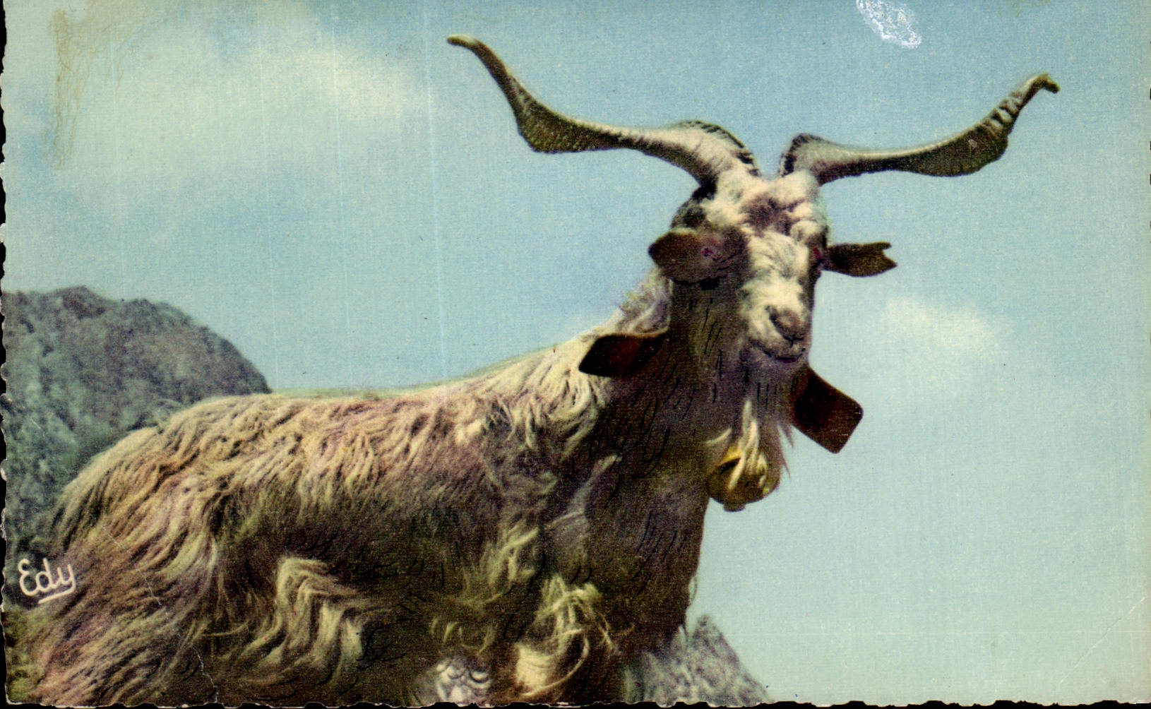Bouc — Éditeur Edyly — n°42